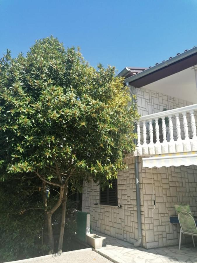 Apartment Angelina 70M From The Beach, Free Parking Novigrad  ภายนอก รูปภาพ