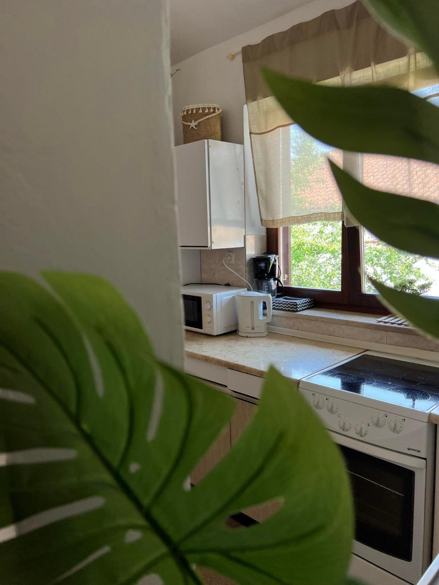 Apartment Angelina 70M From The Beach, Free Parking Novigrad  ภายนอก รูปภาพ